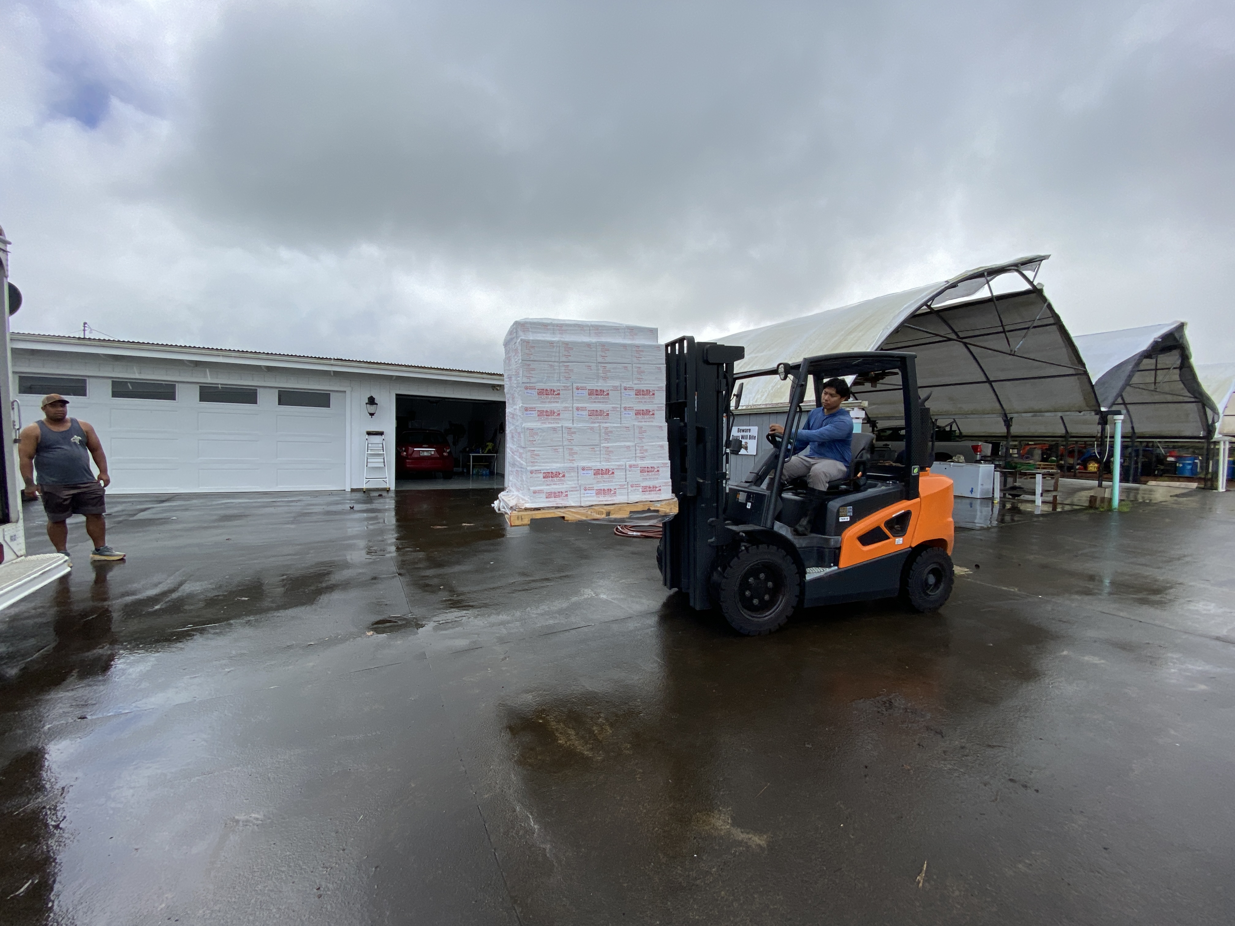 A pallet of donated longan fruit being moved by forklift at Gavagrow