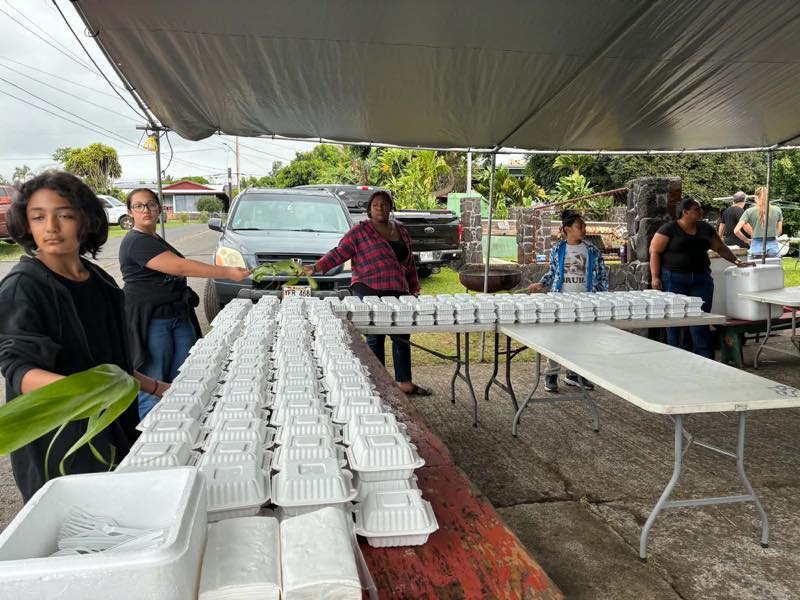 Rows of prepared meals ready for delivery
